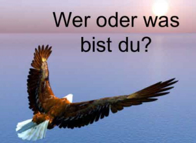 Wer und was bist du?