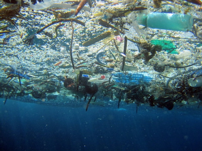 Plastikmüll im Meer